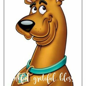 Meet your Posher, Holly